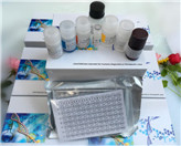 أPancreastatinELISAԼ 
