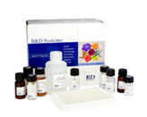 Human Chorionic Gonadotrophin,HCG ELISA KIT