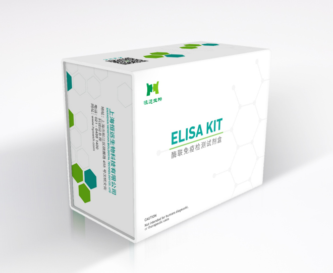 人白介素6（IL-6）ELISA试剂盒 