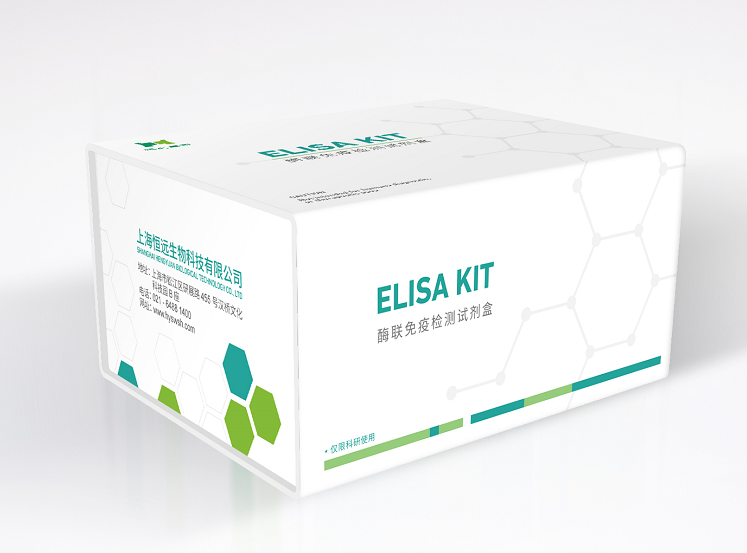 细胞色素 C（CytC）ELISA 试剂盒