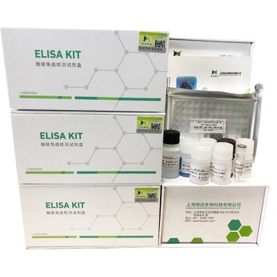 ˴忹(rickettsiosis Ab)ELISAԼ